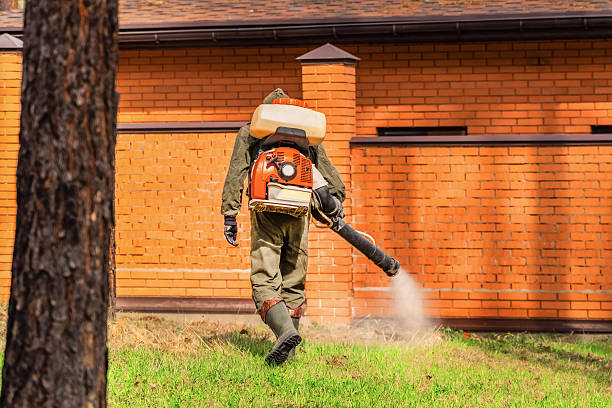 Bed Bug Clearance Verification and Documentation in New Kingman-Butler